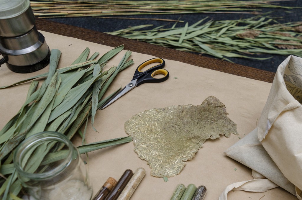 06 Paradise Marsh Maria Nalbantova work in progress reed material